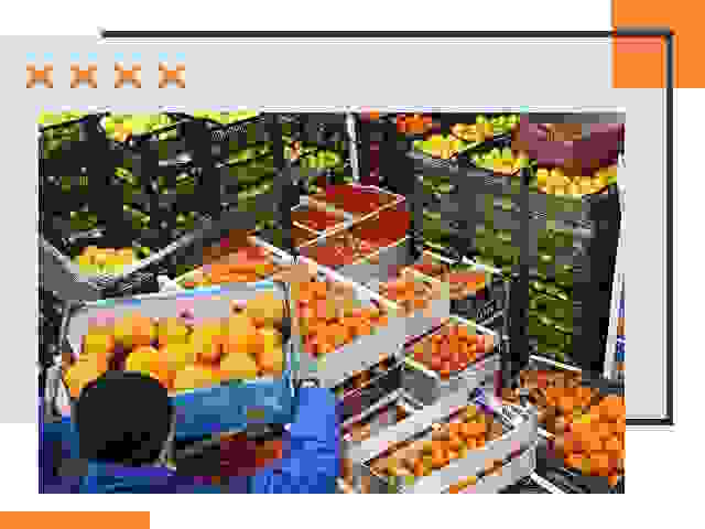 Перевозка скоропортящихся продуктов в Бузулуке